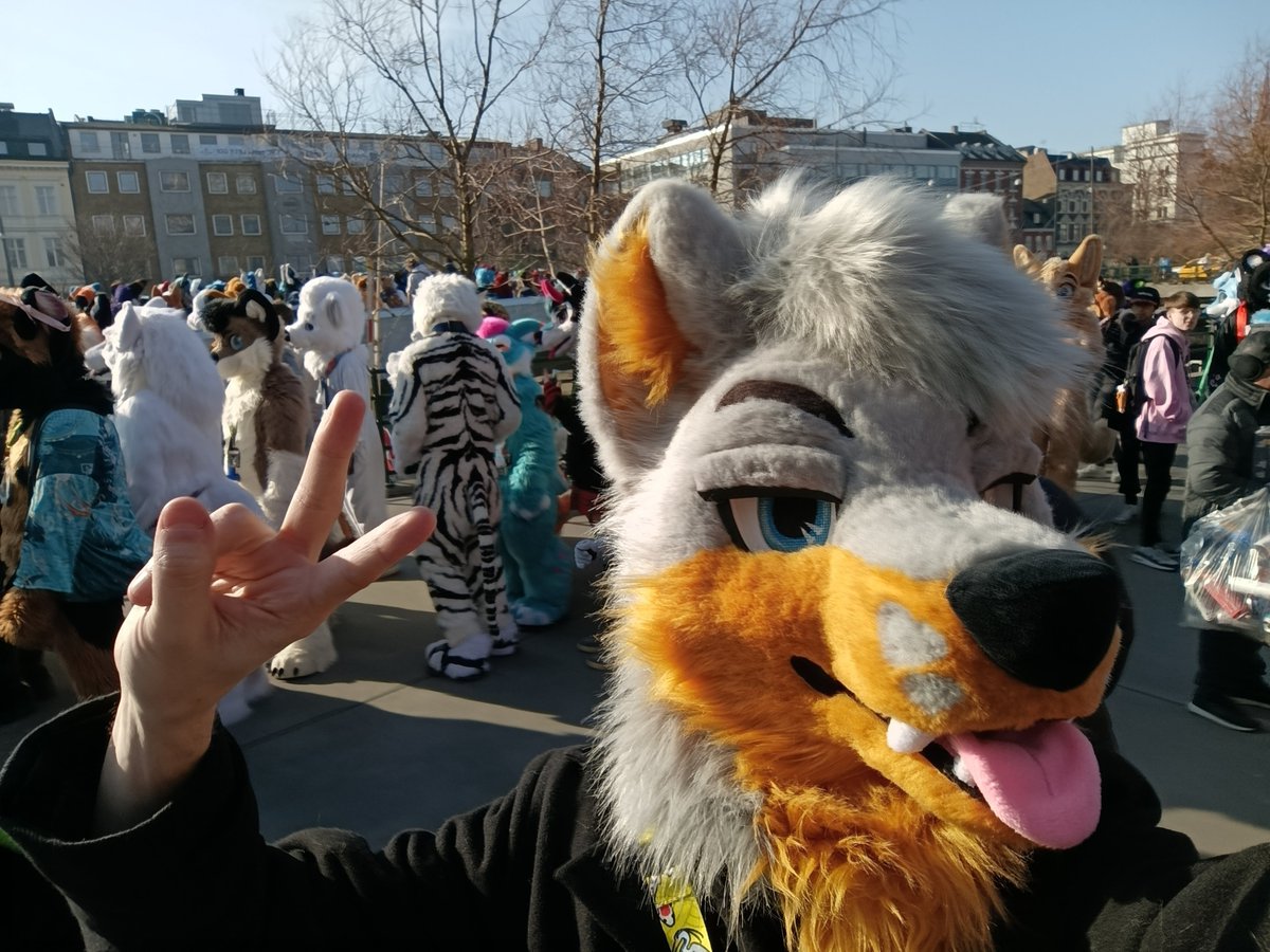 Well today March 15th marks exactly 1 year since I got my fursuit! On this day last year I picked up a box that changed my life! This funny costume has had such a positive impact on my life and for that I'm thankful, both to my husband and my maker that made this possible! ❤️🦊📦