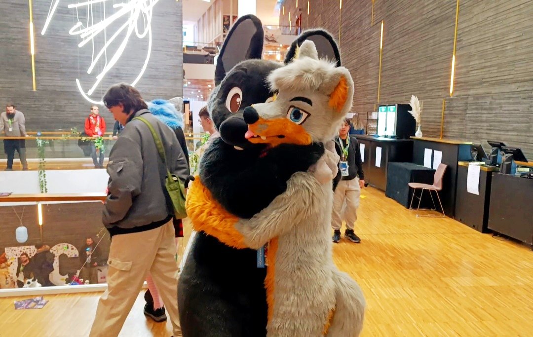 🚀Skout⭐ tweet media