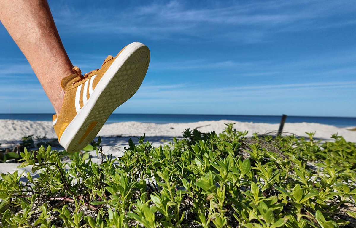 Naples Botanical Garden tweet media