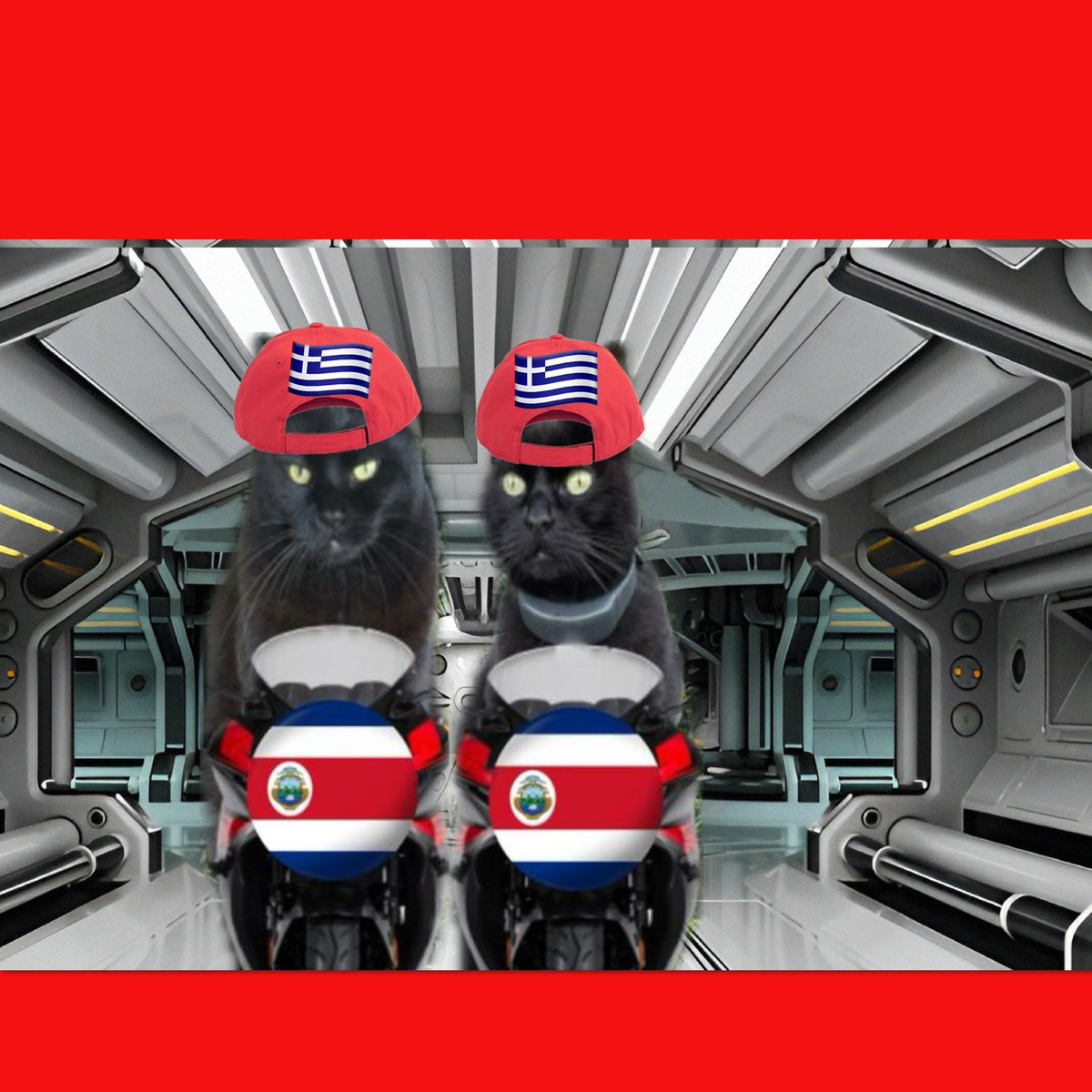 #PumpkinsPosse #theruffriderz 
 Hey there Spacy Bunch! 
Everyfur okay! 
<a href="/MunchPudding/">Munch Pudding™️ 🐈‍⬛ ✌🏼 💙💛</a>