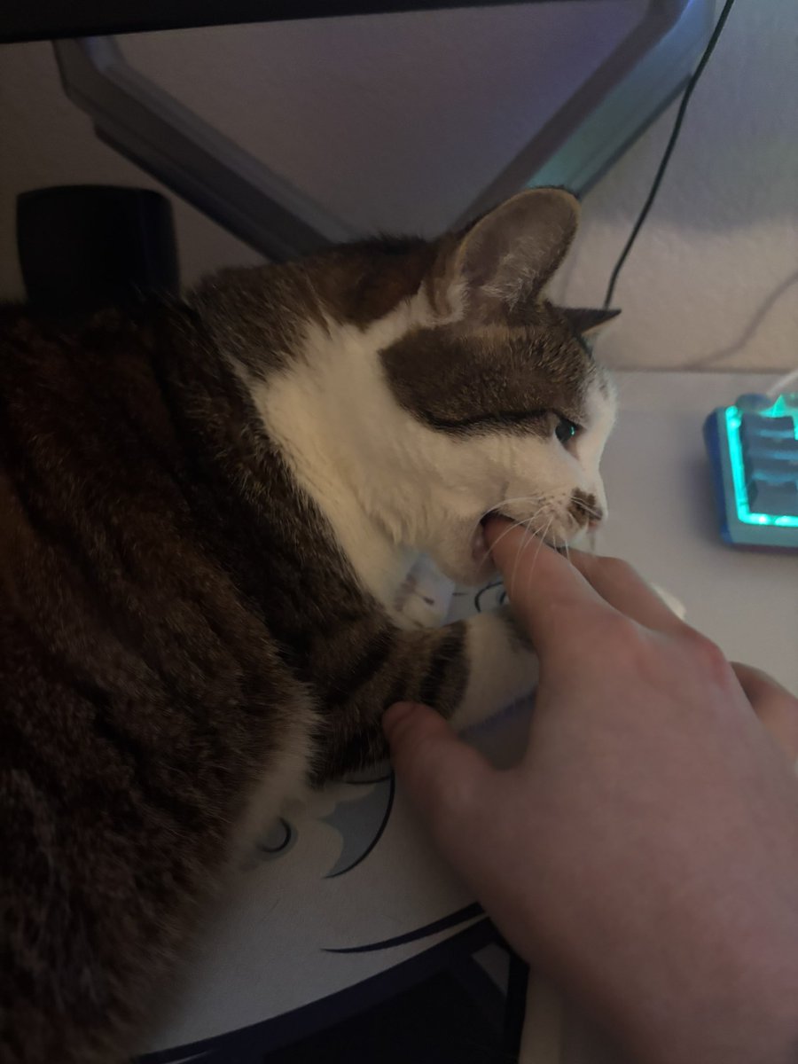 Trebur97's tweet photo. She attack 👺 https://t.co/8Jvx0kmZZu
