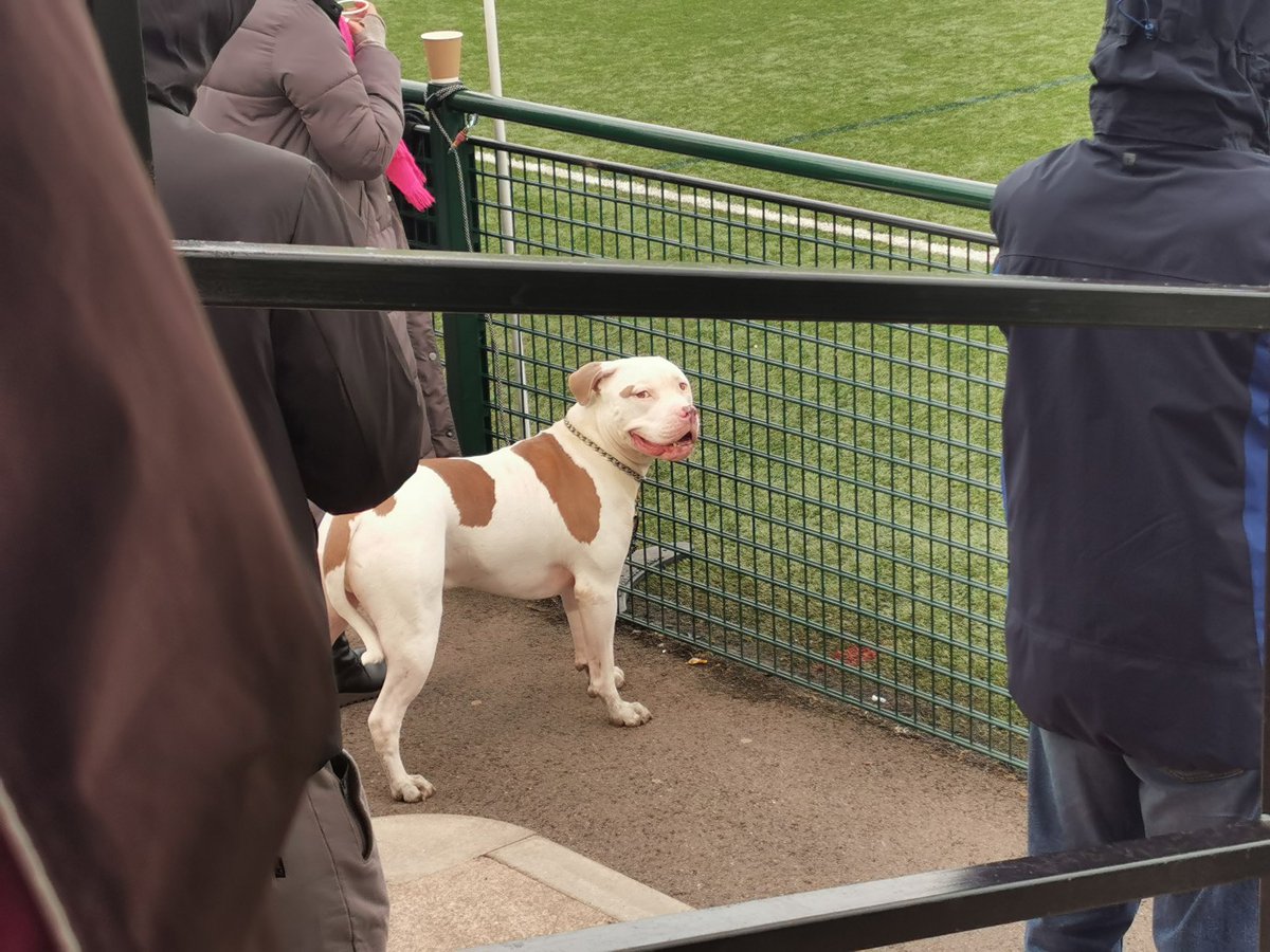Ground number 117 <a href="/LongwellGreenFC/">Longwell Green Sports FC</a>  v <a href="/BittonAFC/">BittonAFC©</a>  5-0 to the home team. Friendly club with good facilities.