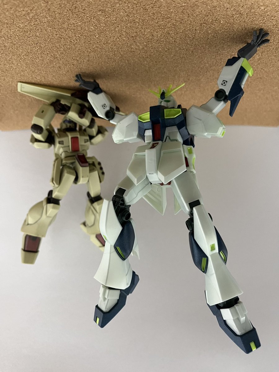 ねことら@miya tweet media
