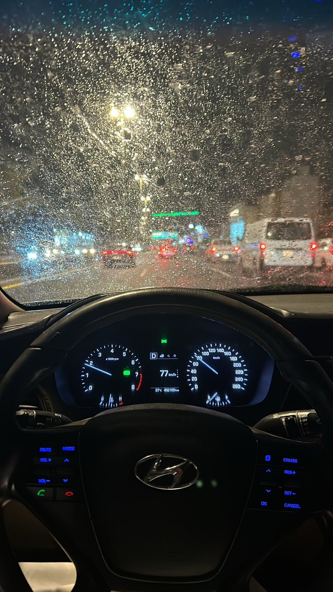 تنحب الحياة والدنيا مطر .