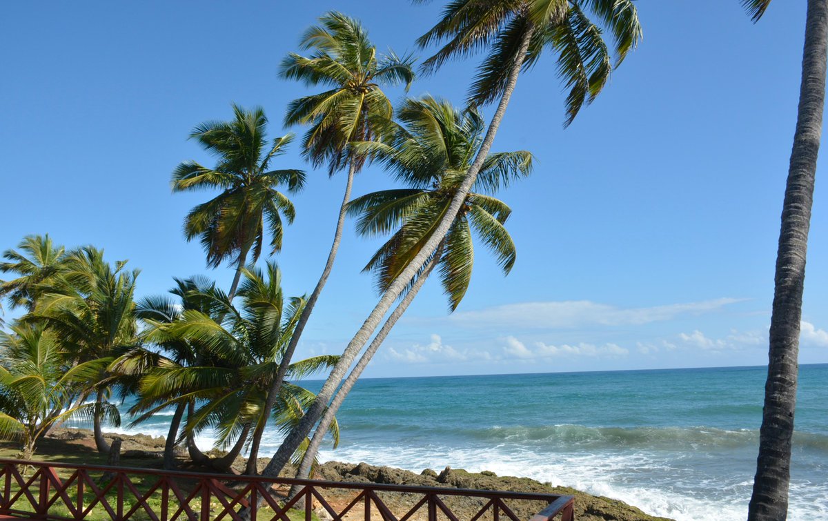 El PLD fue  clave en la transformación de República Dominicana, con proyectos que elevaron la calidad de vida en María Trinidad Sánchez.

 Seguimos firmes 

#NaguaEsPLD
#CrecimosConElPLD