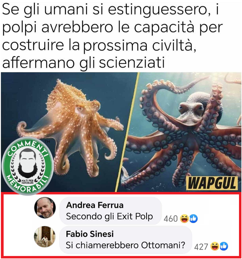 CM_Memorabili's tweet photo. In polp-position, a quanto sembra. #polpi #commentimemorabili #continuatevoi https://t.co/rkV3pg8Whr