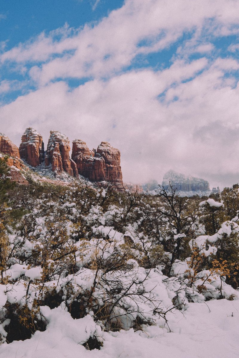 ⇢ 𝒿𝑒𝓃𝓃𝒶 🌻 tweet media