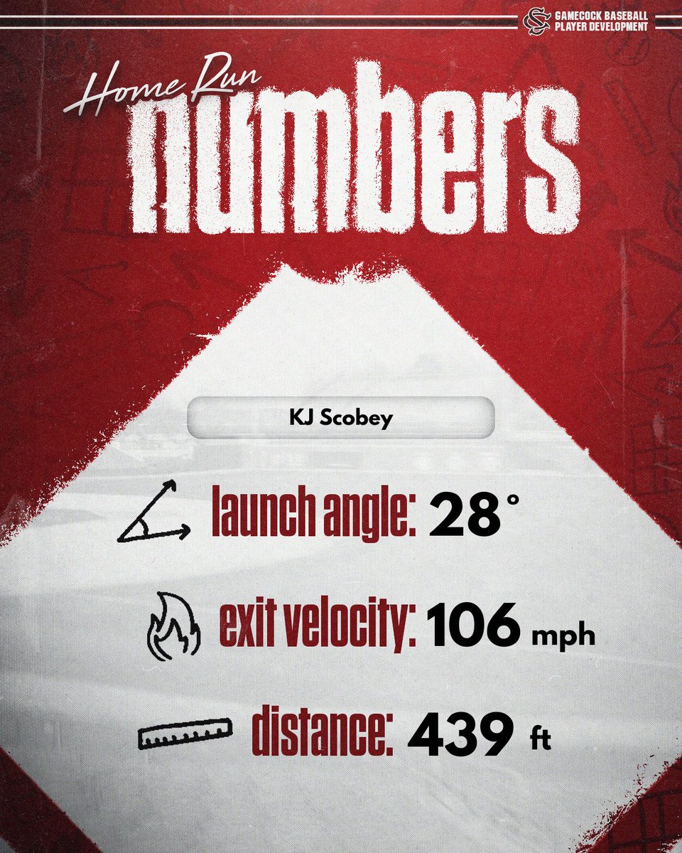SC Baseball Player Development (@gamecockbsbpd) on Twitter photo 