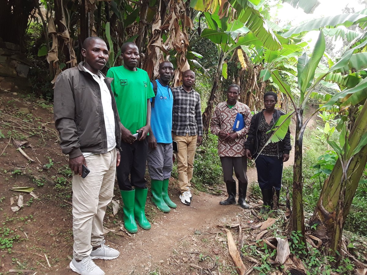 Forest of Hope (FHA) tweet media