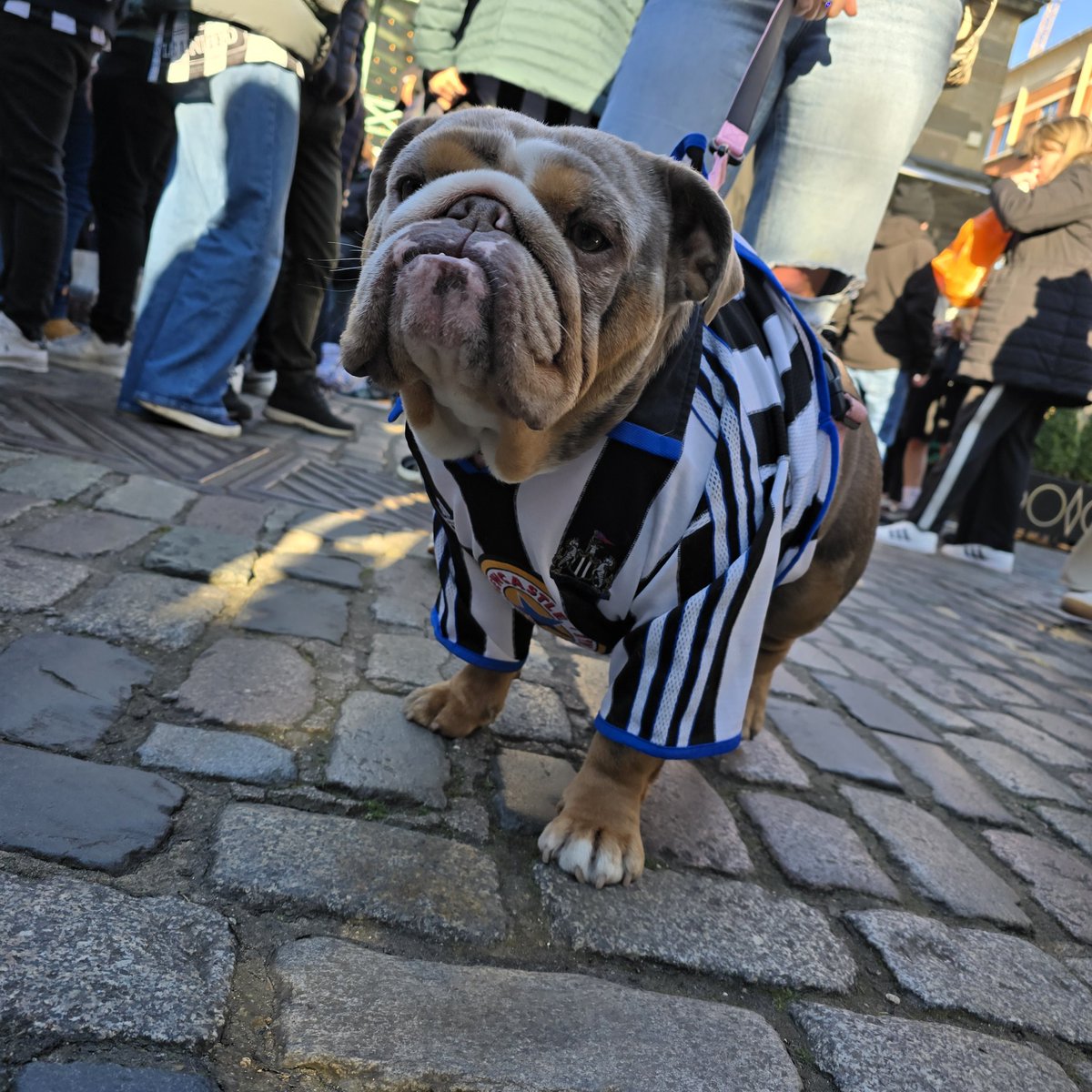 Covent gardens is black and white 🖤 🤍 
#Nufc #NewcastleUnited