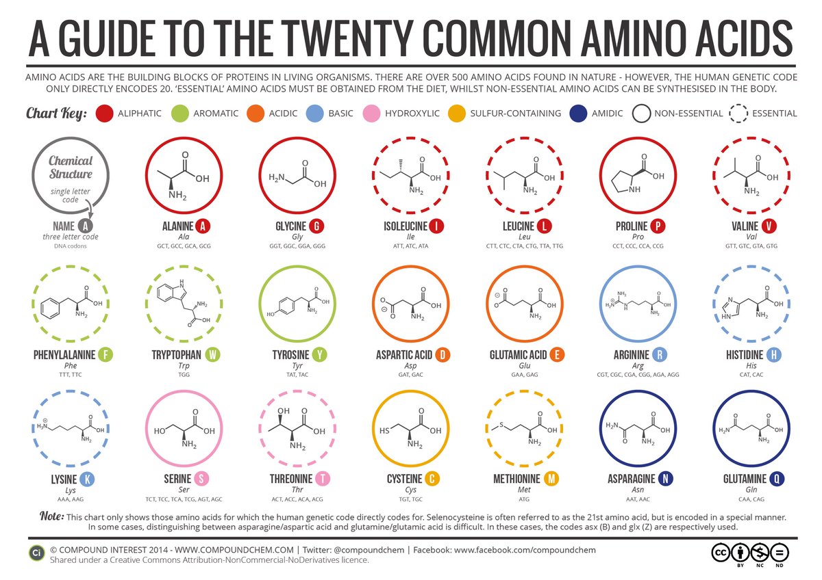 Chemistry is everywhere. 

Amino acids are the building blocks of proteins. 

There are over 500 amino acids found in nature however, the human genetic code only directly encodes 20. 

‘Essential’ amino acids must be obtained from the diet, others can be synthesized in the body.
