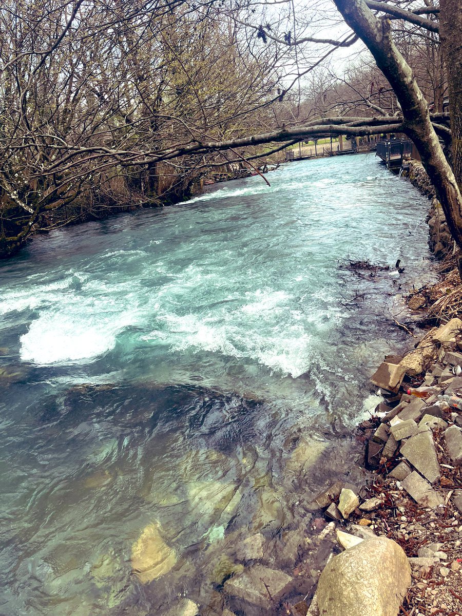 OnukOya's tweet photo. “Kendini herkesten akıllı zanneden birinden daha aptal kimse yoktur.”
Çünkü herkes kimin ne bok oldugunu bilir,sadece üstüne basmaz :Kokmasın diye…” https://t.co/m3ohnKD1X8