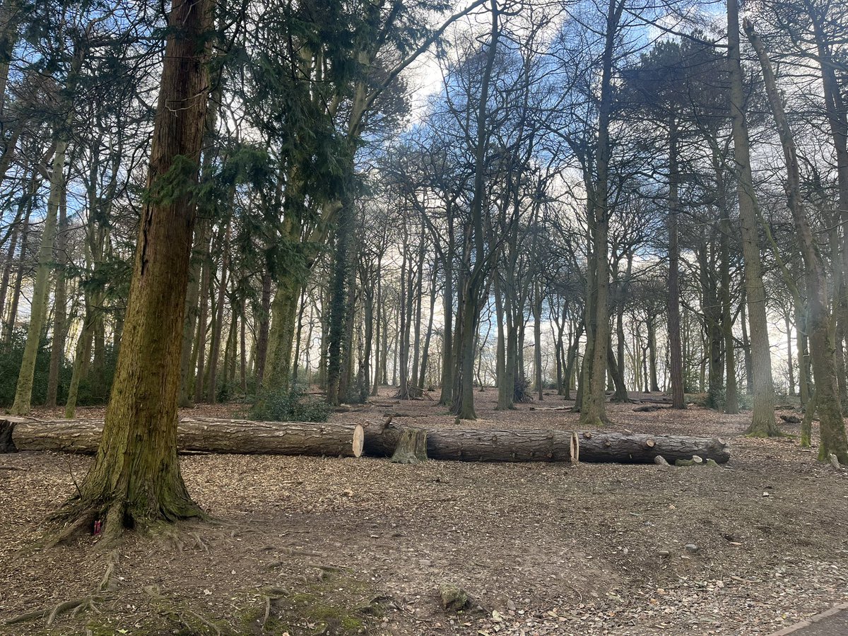 A beautiful morning walk #walking warriors