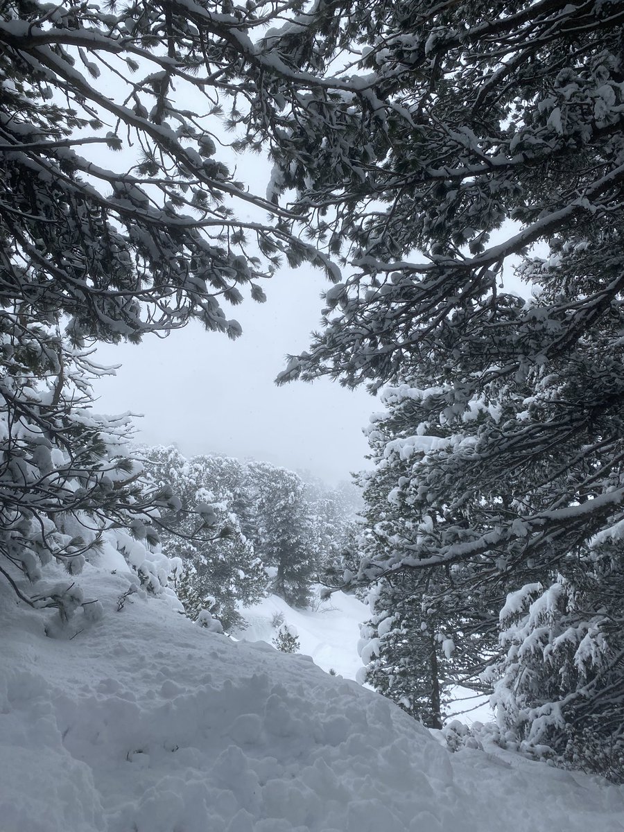 Ski en amoureux c’est bien cool 😋