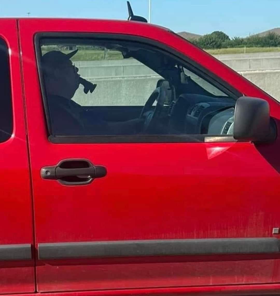 Which one of you is this?😂