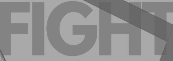 The Fight tweet media