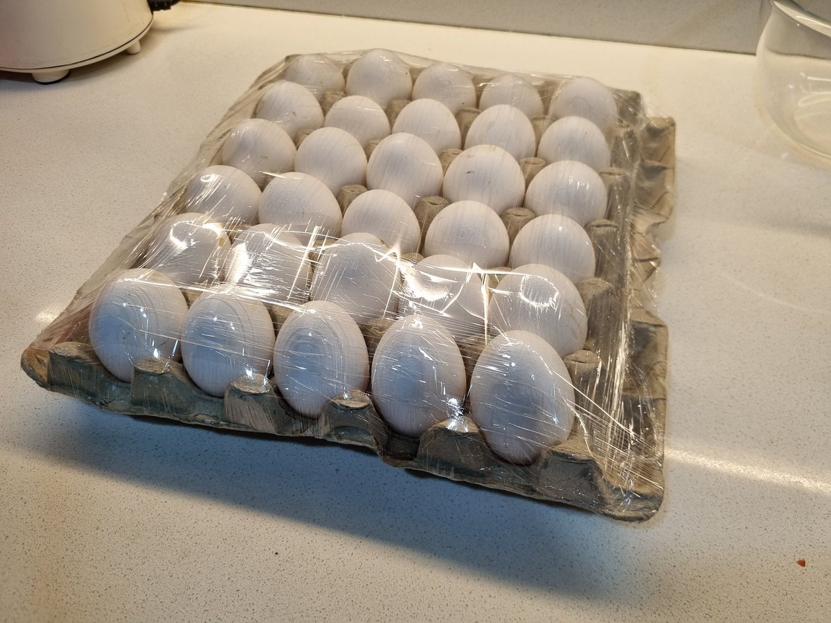 Guys, I'm going to purchase Florida.