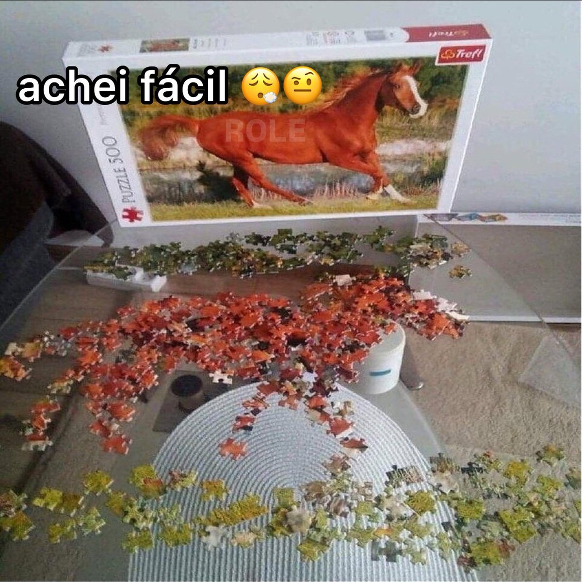 rolealeatorio's tweet image. facinho 👍