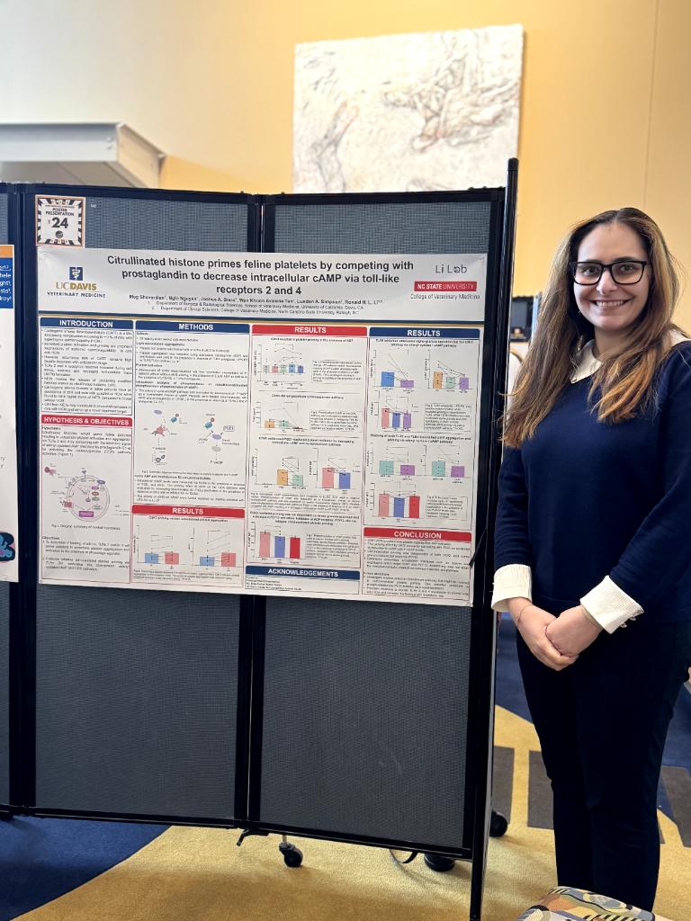 Comparative Platelet+Neutrophil Lab (@petplateletneu1) on Twitter photo What is the secret of platelet activation in cats with HCM? Our PhD candidate, Meg Shaverdian, presented her important research at this year's GGIP research symposim. Thanks <a href="/everycathealth/">EveryCat Health Foundation</a> for your continued support. <a href="/CVMResearch/">NCSU CVM Research</a> <a href="/GGIPstudents/">Graduate Group Integrative Pathobiology</a> <a href="/ucdavisvetmed/">UC Davis Veterinary Medicine</a> What is the secret of platelet activation in cats with HCM? Our PhD candidate, Meg Shaverdian, presented her important research at this year's GGIP research symposim. Thanks <a href="/everycathealth/">EveryCat Health Foundation</a> for your continued support. <a href="/CVMResearch/">NCSU CVM Research</a> <a href="/GGIPstudents/">Graduate Group Integrative Pathobiology</a> <a href="/ucdavisvetmed/">UC Davis Veterinary Medicine</a>