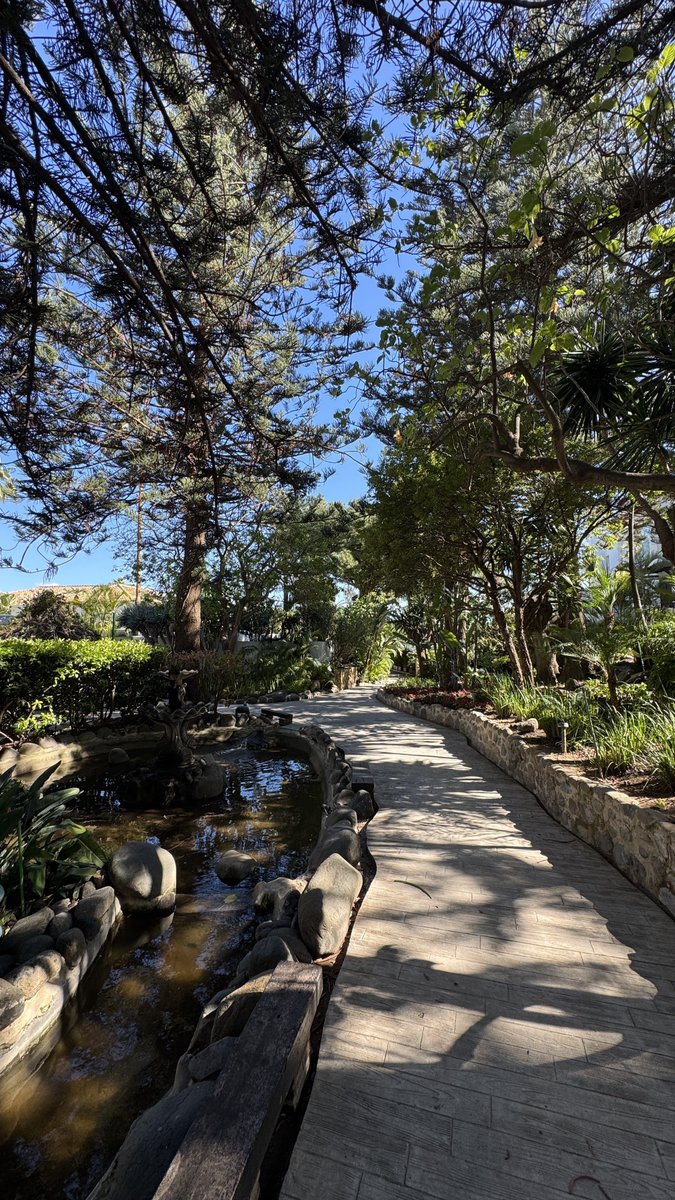 Rob Lipsett tweet media