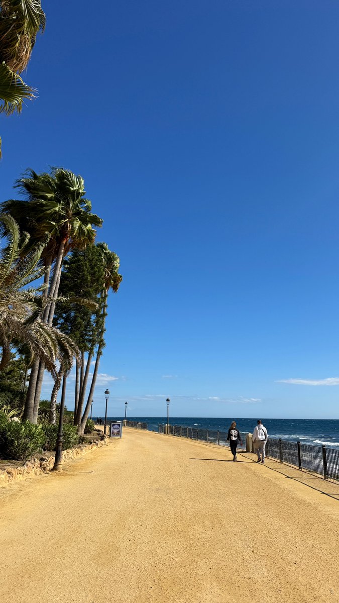 Rob Lipsett tweet media