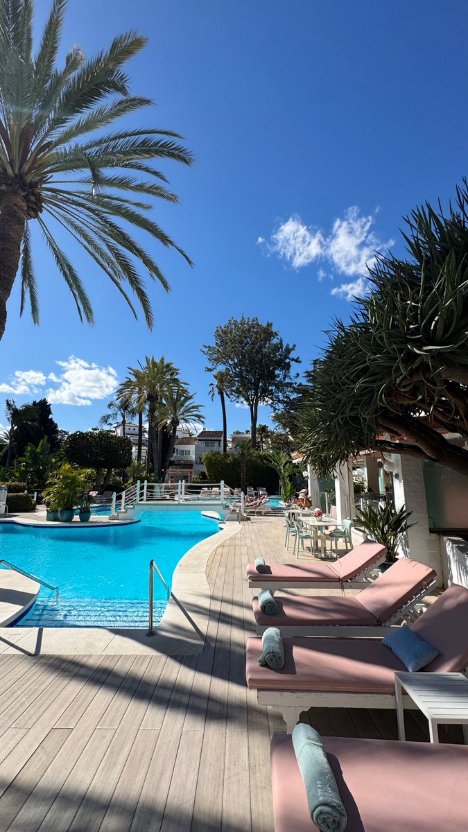 Rob Lipsett tweet media