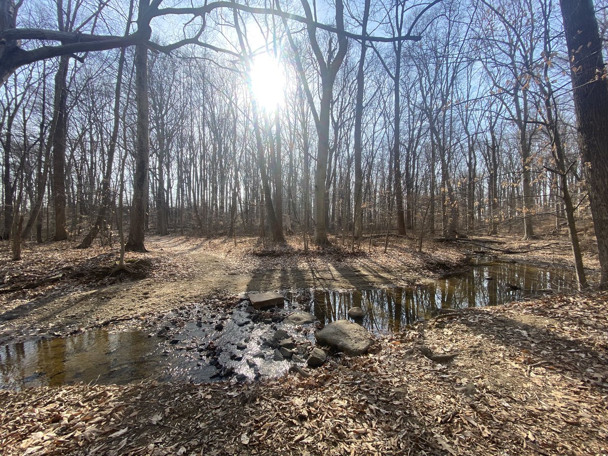 dr_depin's tweet photo. Happy #ScanSaturday Mobilers! Caught some fresh hexes on this beautiful nature preserve. Looking forward to warmer weather! #WMTx #WMchain #ADA #base https://t.co/LGgjomoJjZ