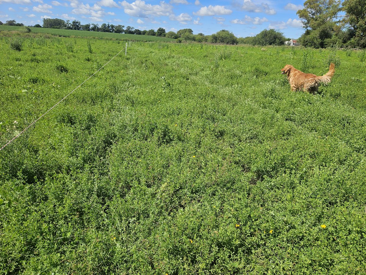 Seba Purtscher tweet media