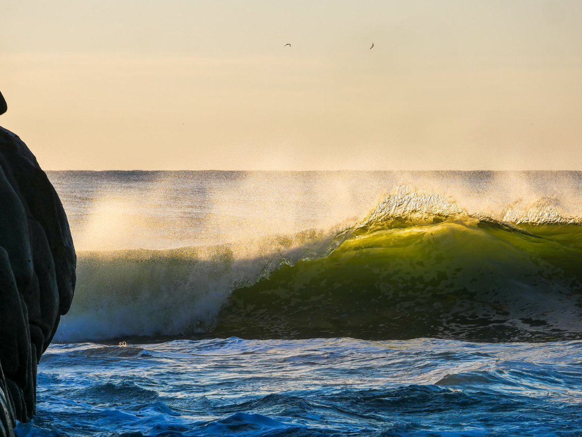 Green wave, Blue mind 💙
.
.
.
.
.
#Surfing #SurfingPhotography #OceanLife #Beach #Stoke #Beauty #SurfingLife #OceanPhotography #DogsofInstagram #Wave #BeachLife #WarmWeather #WarmWater #Paradise #DogsDaily #PanasonicLumix