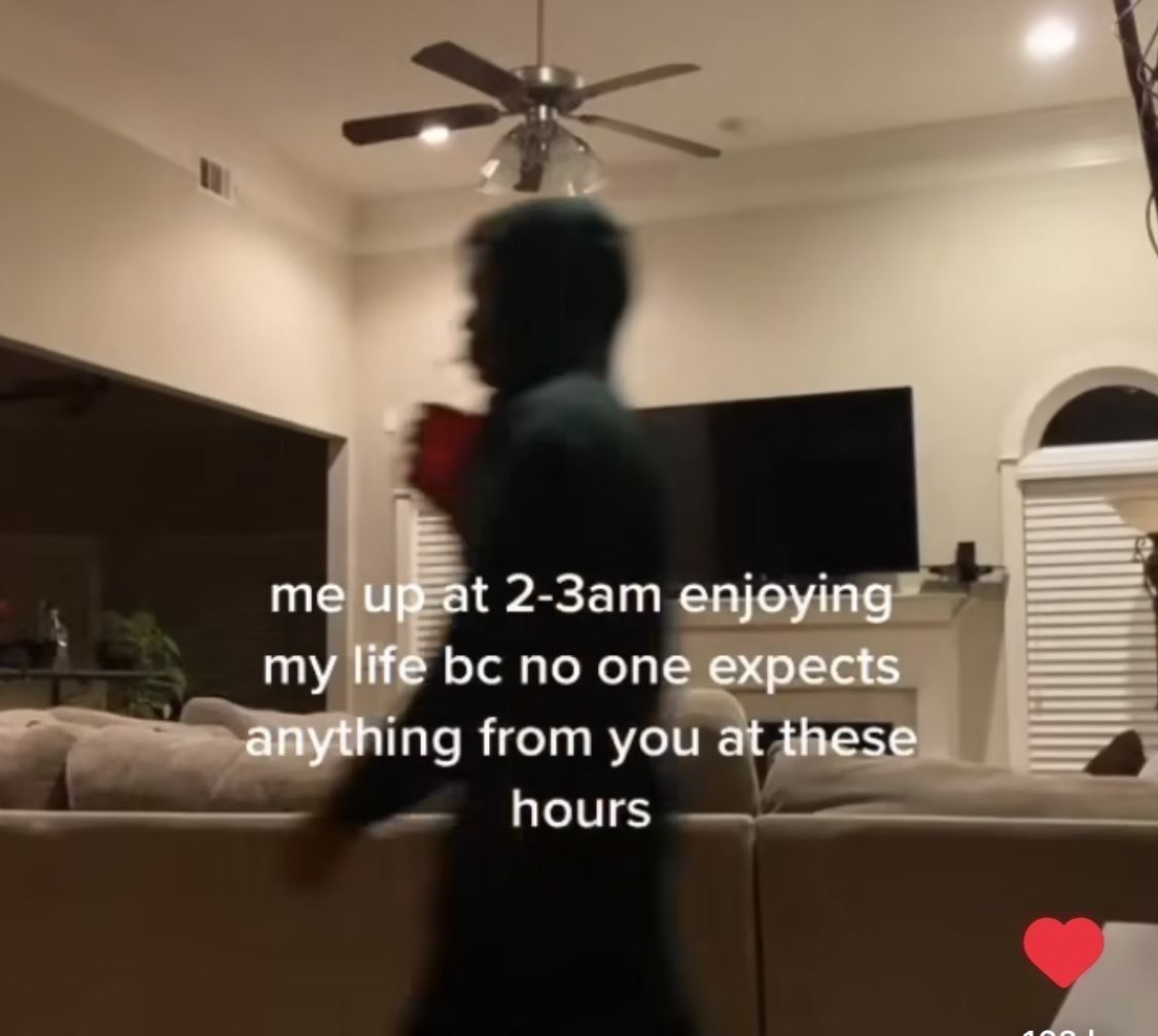 Wild TikToks (@wildtiktokss) on Twitter photo 