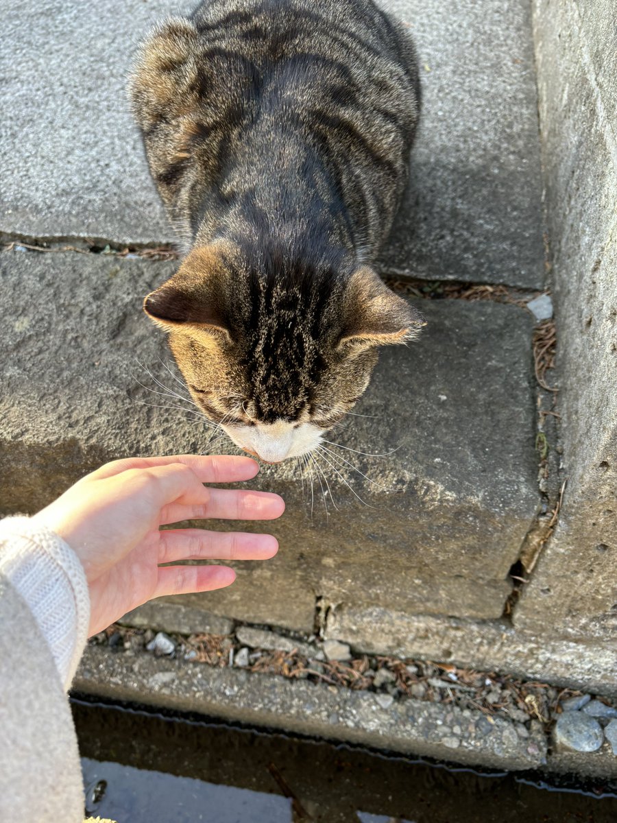 社会不適合者 - Search / X