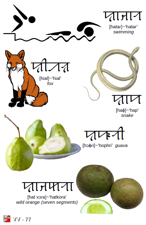SylhetiProject's tweet photo. Download free copy at
https://t.co/Jzpkqb6PVJ
Full of vocabulary with images and more!
See https://t.co/DuQ4pH6PNy
#siloti #syolti #sylhoti #Sylheti #ꠍꠤꠟꠐꠤ #ছিলটি #silotinagri #sylotinagri #sylhotinagri #SylhetiNagri #ꠍꠤꠟꠐꠤꠘꠣꠉꠞꠤ #ছিলটিনাগরি https://t.co/W4CNfrGndq
