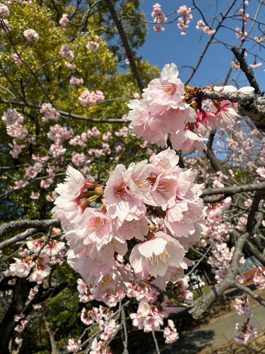 🌱🌅🌸 by jaemin