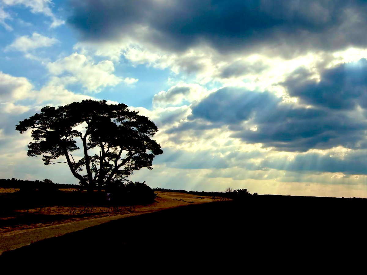 Frank Jongejan 🗽 (@frankjongejan) on Twitter photo 