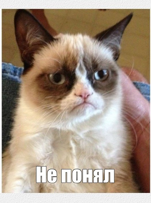 chilipizdrohan's tweet photo. вы приговариваетесь к 5 минутам разговора с нормисом без увлечений, без хобби, который не может ответить ни на один вопрос о себе, а его любимый мем выглядит вот так https://t.co/jGrLJUnu9Y