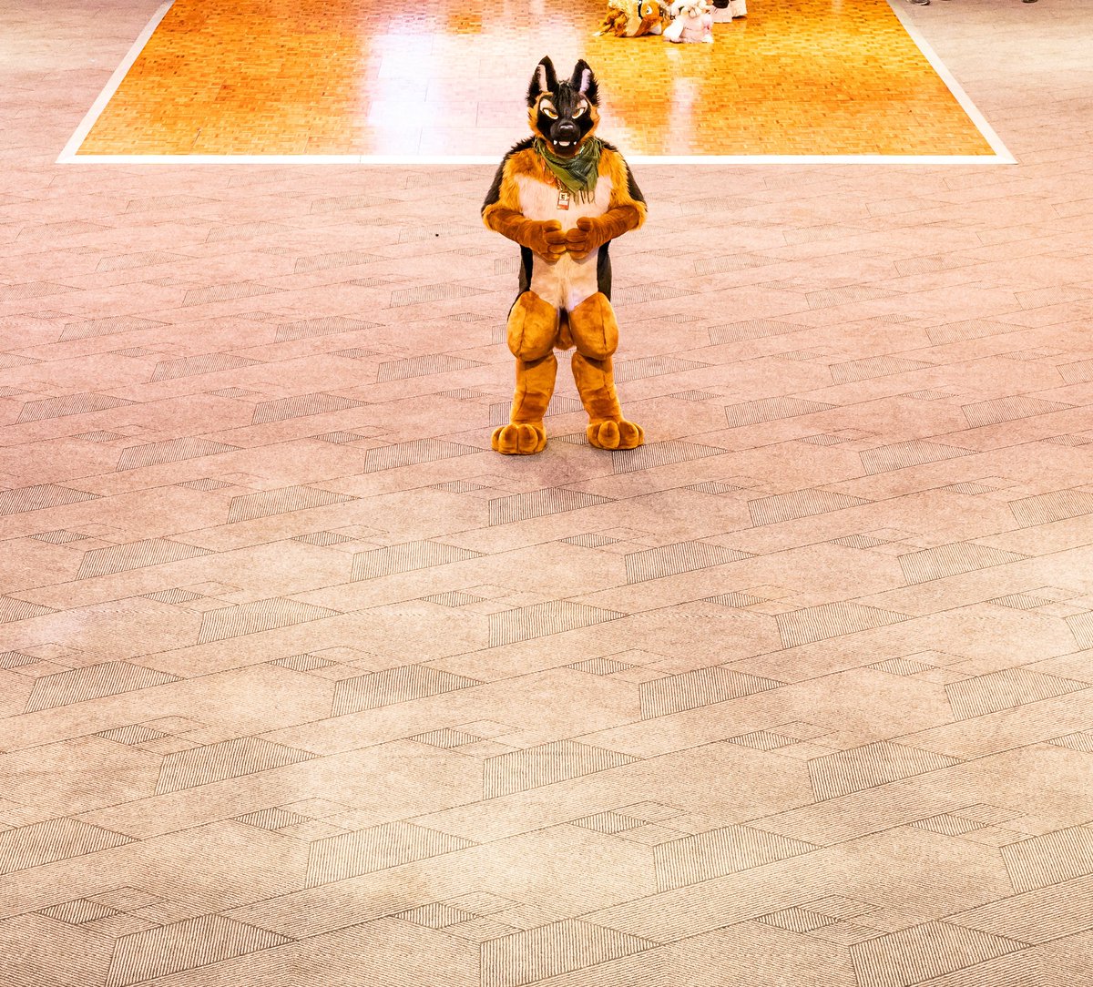 Fudgy Shepherd (@fudgyshepherd) on Twitter photo Lean do chroí, fiú má chiallaíonn sé seasamh leat féin.
Follow your heart, even if it means standing on your own. :)
#ShepSaturday #FursuitEverday
🪡 <a href="/MadeFurYou/">Made Fur You</a>
📸 <a href="/Crofty_Raccoon/">crofty_raccoon</a> Lean do chroí, fiú má chiallaíonn sé seasamh leat féin.
Follow your heart, even if it means standing on your own. :)
#ShepSaturday #FursuitEverday
🪡 <a href="/MadeFurYou/">Made Fur You</a>
📸 <a href="/Crofty_Raccoon/">crofty_raccoon</a>