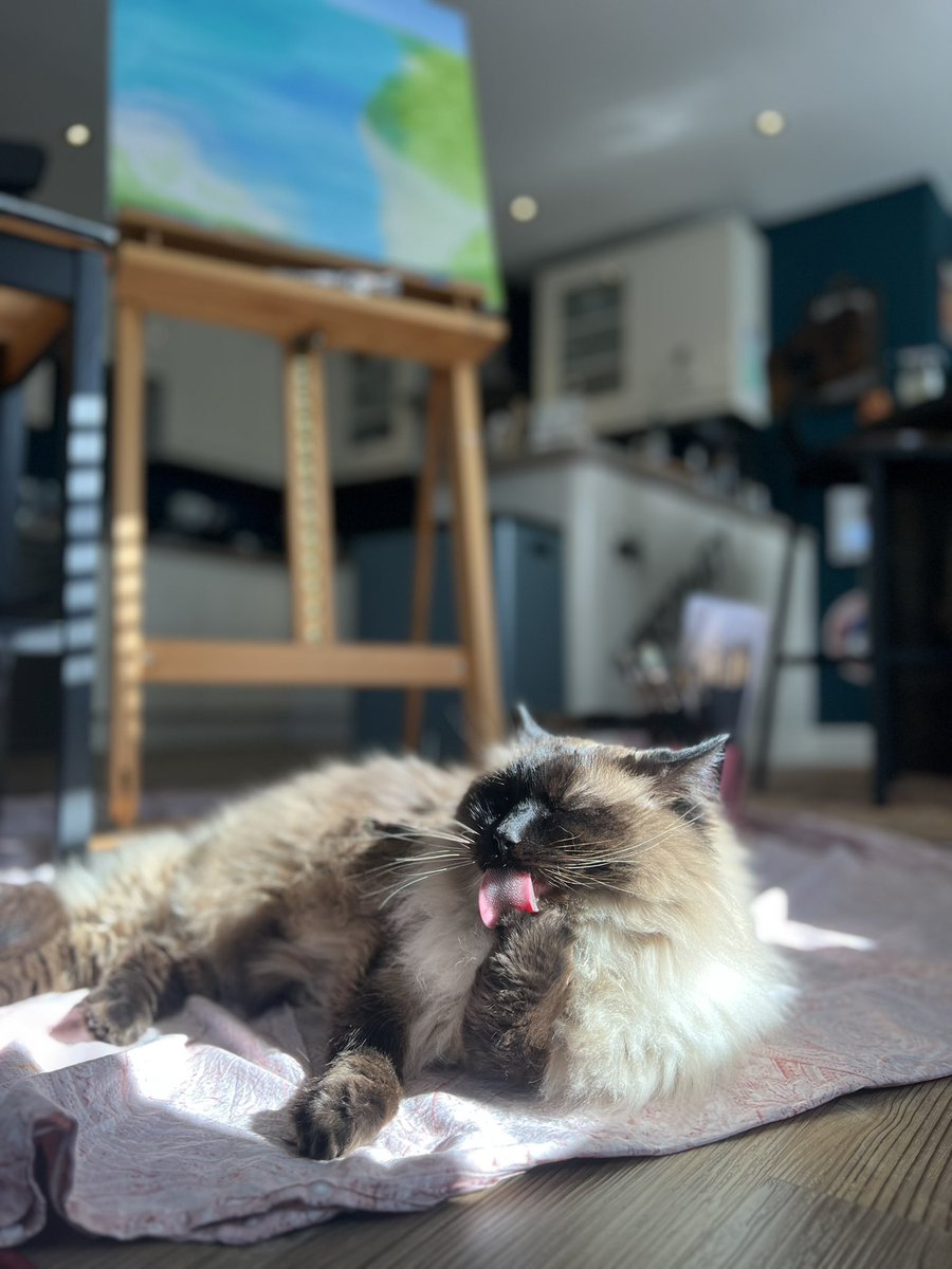 Laura Watson (@laurawatsonart) on Twitter photo The artist’s assistant. The artist’s assistant.