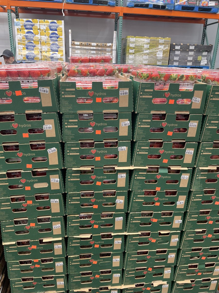 Jason Scott 🇨🇦 tweet media