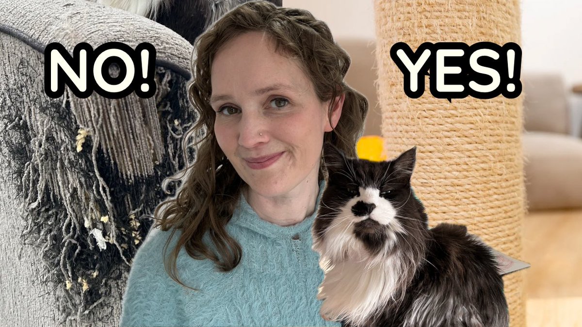 Stop your cat from scratching furniture for good youtu.be/ISYQOK5lSbw?si… via <a href="/YouTube/">YouTube</a> #catbehaviour