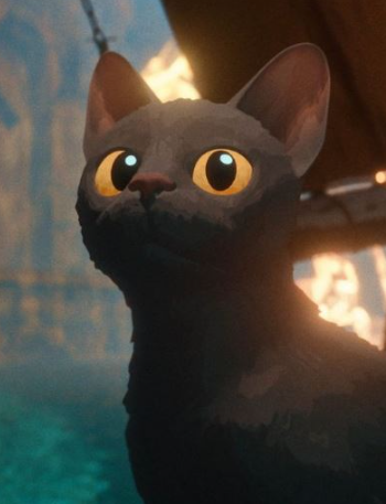 poptime's tweet photo. Vitória de "Flow" no Oscar aumentou consideravelmente a procura pela adoção de gatinhos pretos, informa pesquisa 🐈‍⬛💞 https://t.co/4pMIG7BtnT