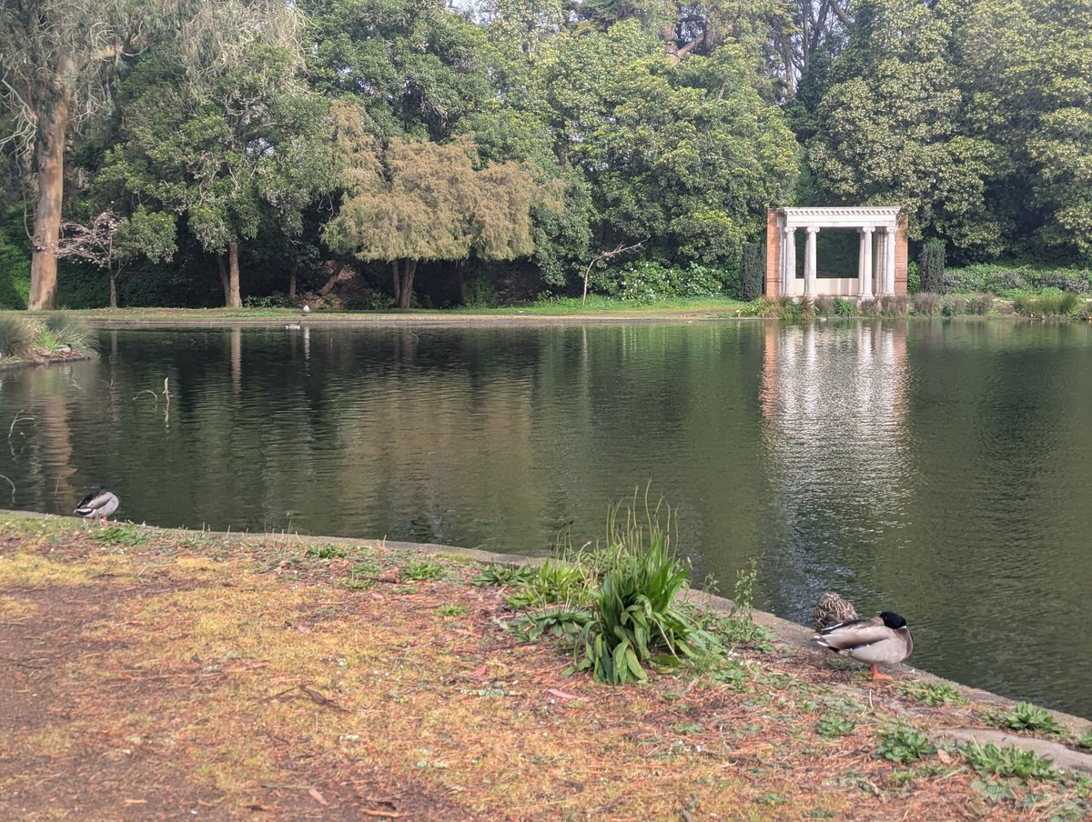 👩💻 Paige Bailey tweet media