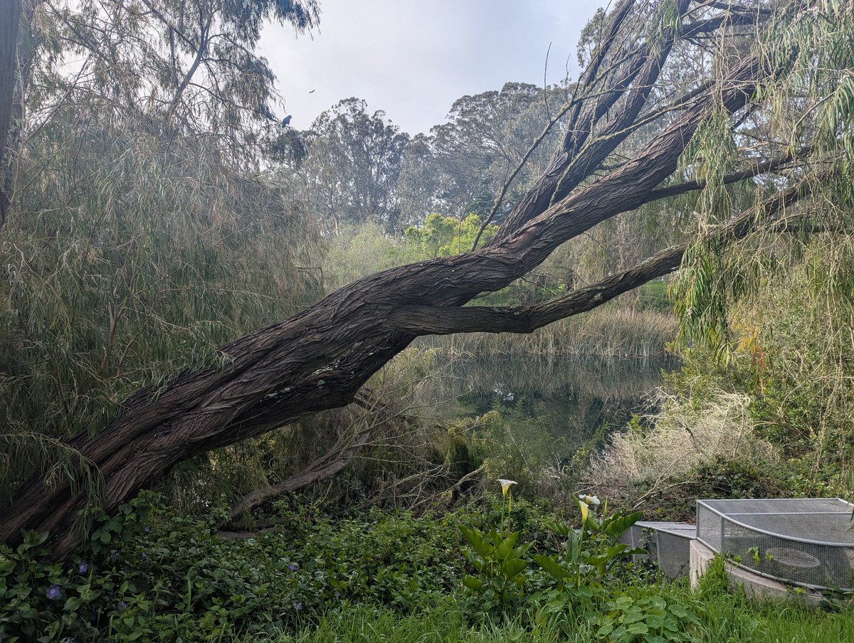 👩💻 Paige Bailey tweet media