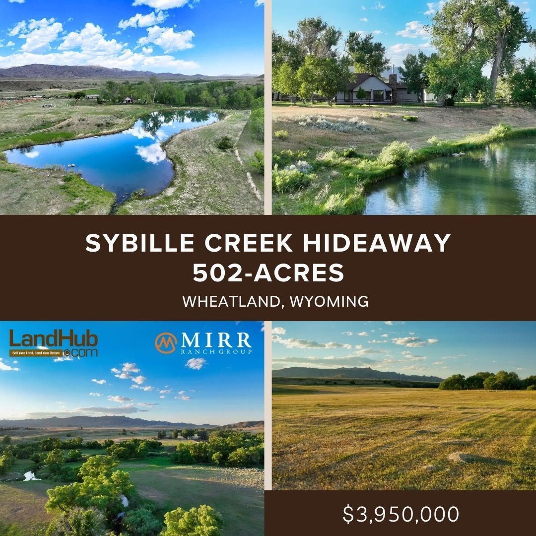 landhub's tweet photo. 🏞 Sybille Creek Hideaway | 502± Acres in Wheatland, WY
📢 A Rare Wyoming Waterfront Property – Your Dream Escape Awaits!
CONTACT US 👉 https://t.co/hhpSdMNwyI
#landforsale #creekfrontage #waterfrontproperty #huntingland #fishingland #riverfrontage https://t.co/lUDlPWZPdr