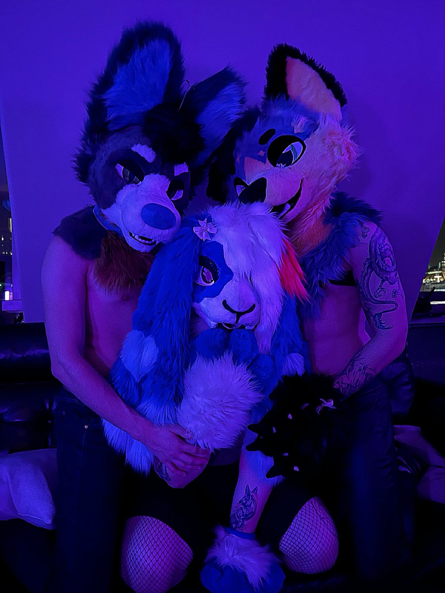 Im in danger 🔥

👥:
<a href="/HorniOnMane/">Orgasm Hound 🔞💙 🔜 Megaplex</a>
<a href="/zzEcho_Doggo/">Echo</a> 

#furrsuit #hot #hotfursuiter #prettyboyos