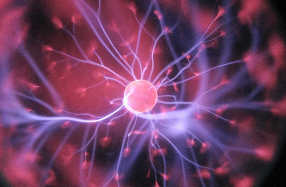 #neuroscience #brain #neurology #science #mentalhealth #brainhealth #psychology #neuro #medicine #neuroplasticity #health #mindfulness #biology #brainscience #neurons #braintraining #research #neurosurgery #brainpower #doctor #anatomy #meditation #anxiety #medical #motivation