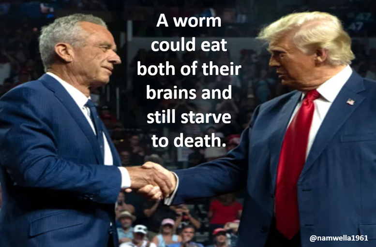 namwella1961's tweet photo. RFK Jr. is fearmongering about riboflavin, which he calls "ribo-flame." Riboflavin is vitamin B2.

Isn't it great a former heroin addict and guy missing part of his brain because it was eaten by a worm, gets to make decisions about our health?
#TrumpisaNationalDisgrace Hell No https://t.co/RLVUenIVSD