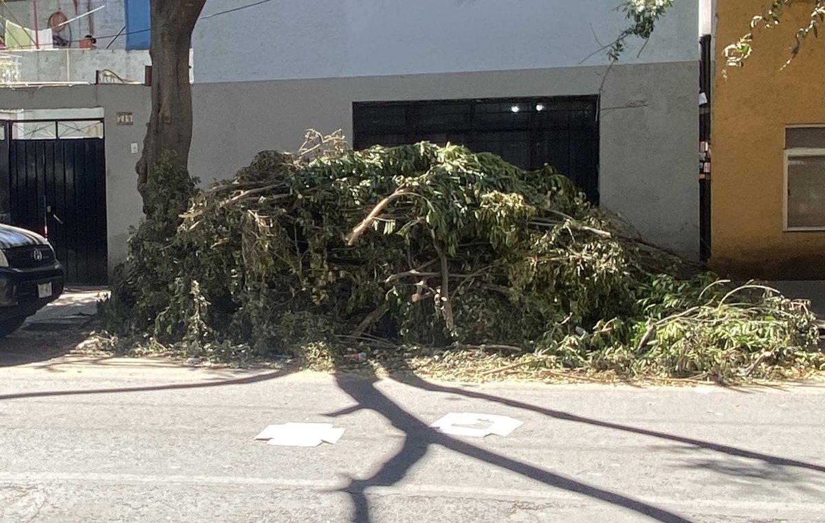 Fercha____'s tweet photo. @AccionesBJ nos podrían apoyar a retirar el enramado que dejaron hace unos días los de la luz en calzada santa anita esquina con jorge washington?? la gente comienza a dejar basura. https://t.co/vSfQG0chgv