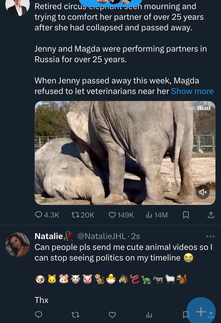 NatalieJHL's tweet photo. BRO THIS I NOT WHA I MEANT 😭😭😭😭 https://t.co/2Cgu2Ev6Hd