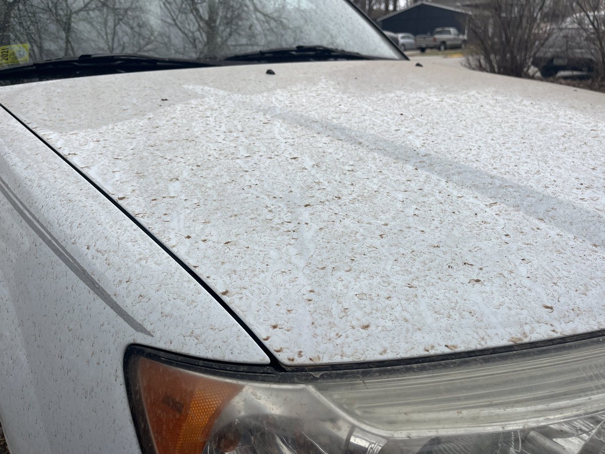 jmacshriver's tweet photo. Wonder what lovely soil pathogens got spread across Iowa last night from the storm. https://t.co/g5M2eSJmXT