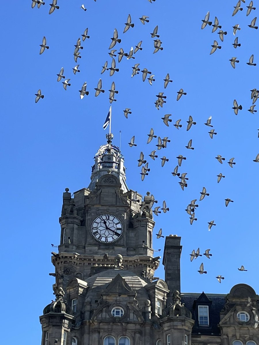 Little Black Book (@edinburghlbb) on Twitter photo I’ve never paid attention to how pigeons look from below - beautiful!
Taken looking up at <a href="/The_Balmoral/">The Balmoral</a> this morning in sunny Edinburgh I’ve never paid attention to how pigeons look from below - beautiful!
Taken looking up at <a href="/The_Balmoral/">The Balmoral</a> this morning in sunny Edinburgh